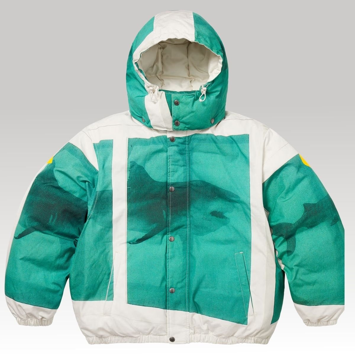 Damien Hirst Down Puffer